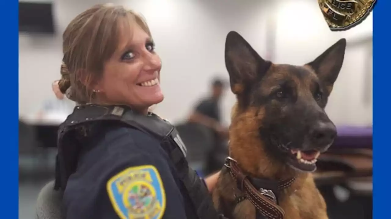 Lake City Police Department’s K-9 Inca passes away