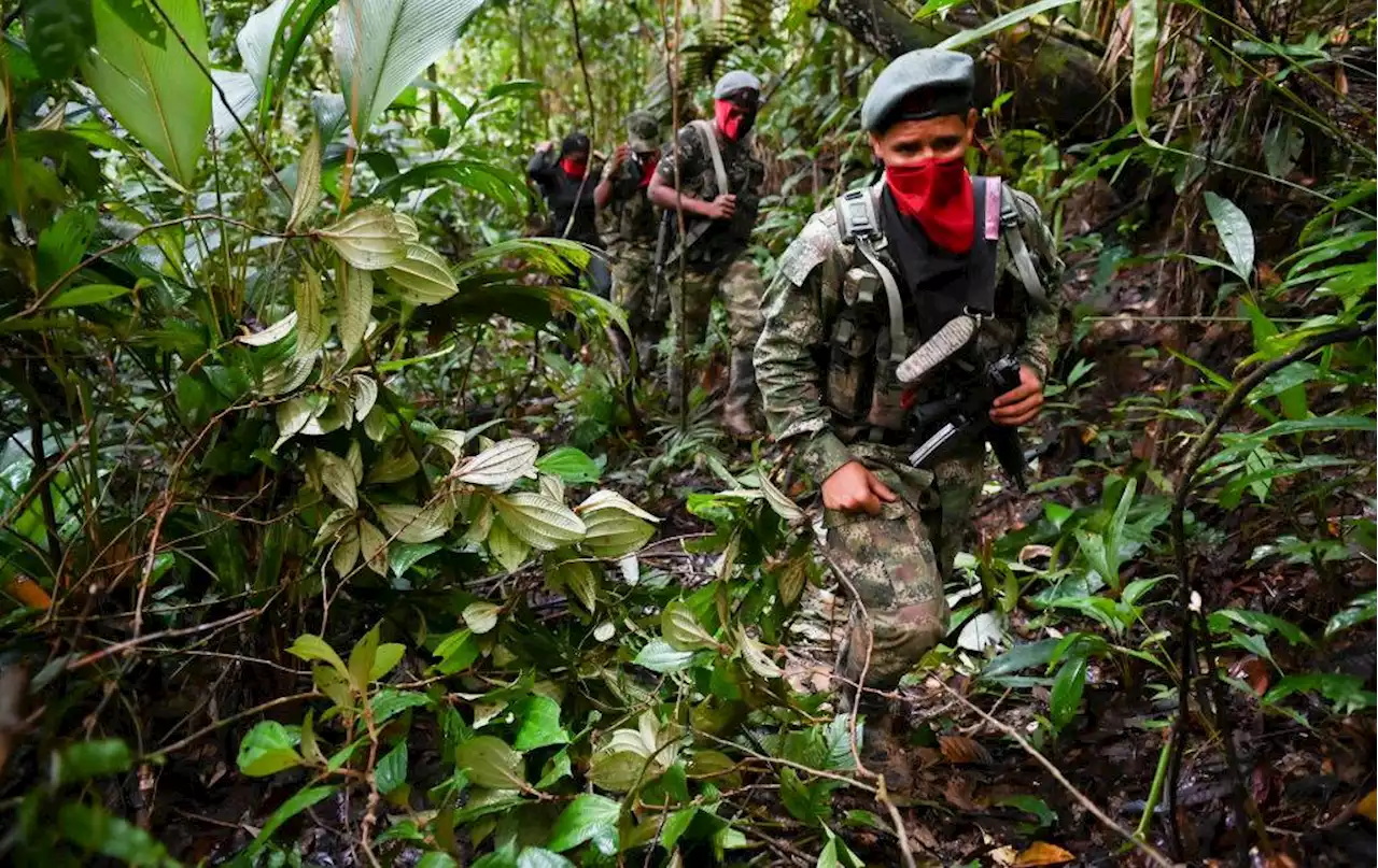 Que terroristas enfrenten a la justicia: Departamento de Estado sobre ELN