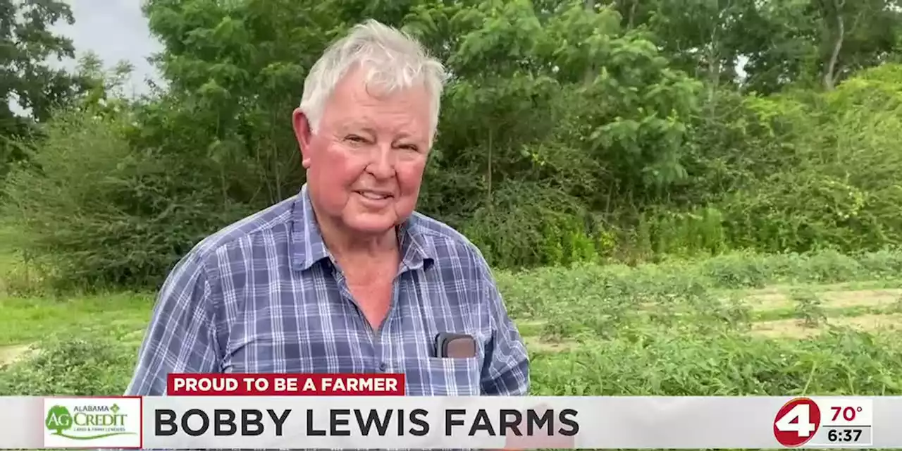 Why Bobby ‘Mater Man’ Lewis is proud to be a farmer