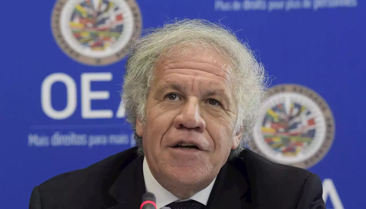 Venezuela no está lista para regresar al Sistema Interamericano de Derechos Humanos: OEA