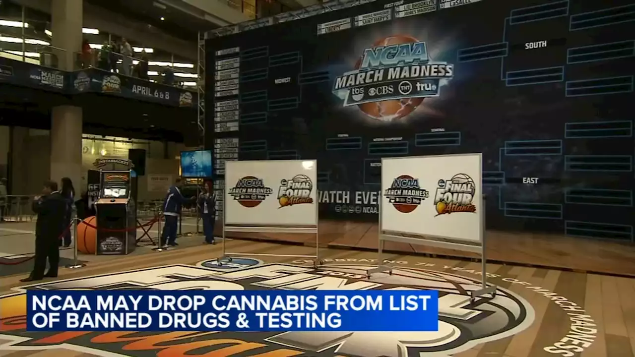 NCAA committee recommends removal of marijuana from drug testing list