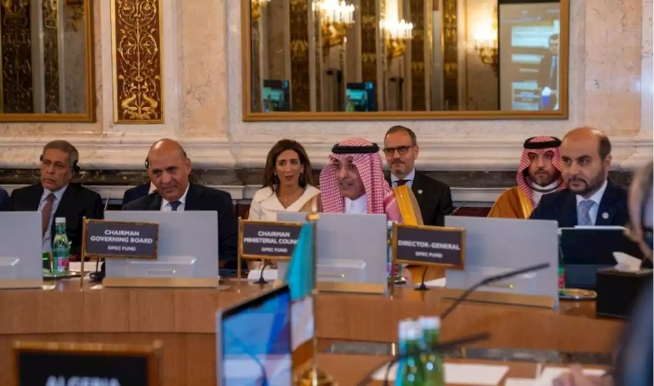 وزير المالية يؤكد دور بنوك التنمية في دعم الدول النامية