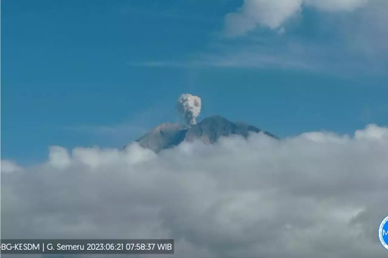 Gunung Semeru erupsi setinggi 600 meter ke arah utara pagi ini