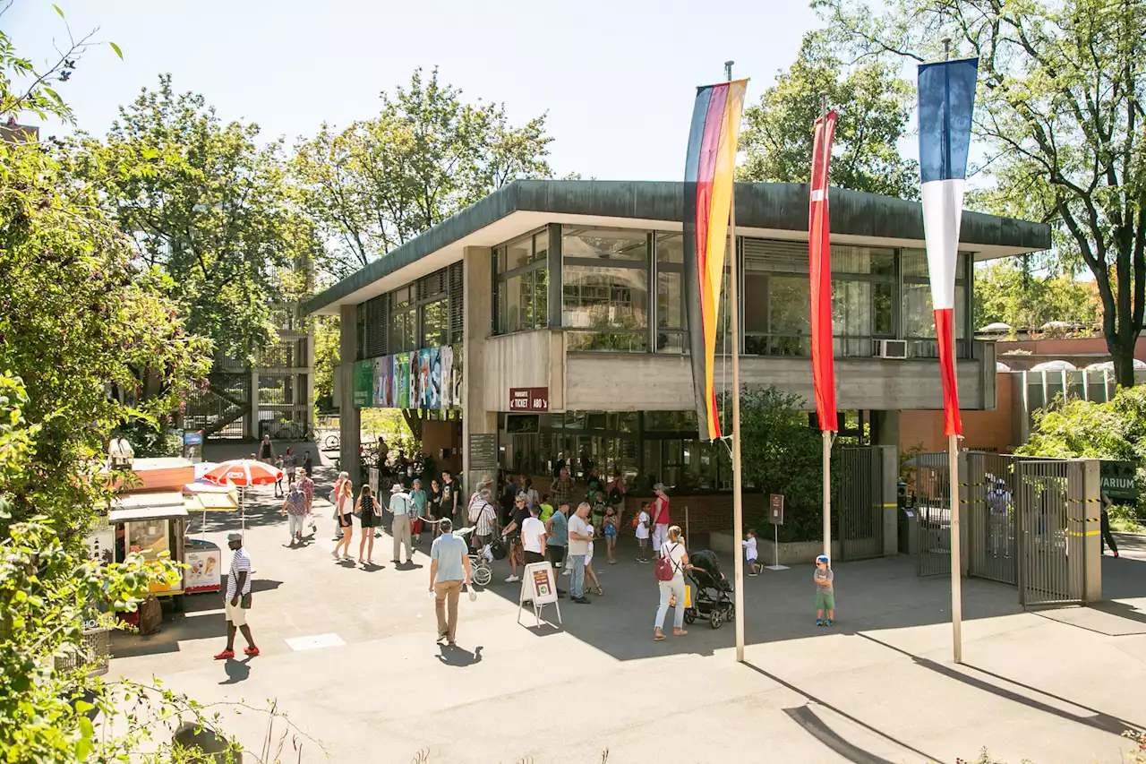 Neues Buch «Im Zolli-Gehege» – Gratis in den Basler Zoo – zur BaZ-Buchvernissage