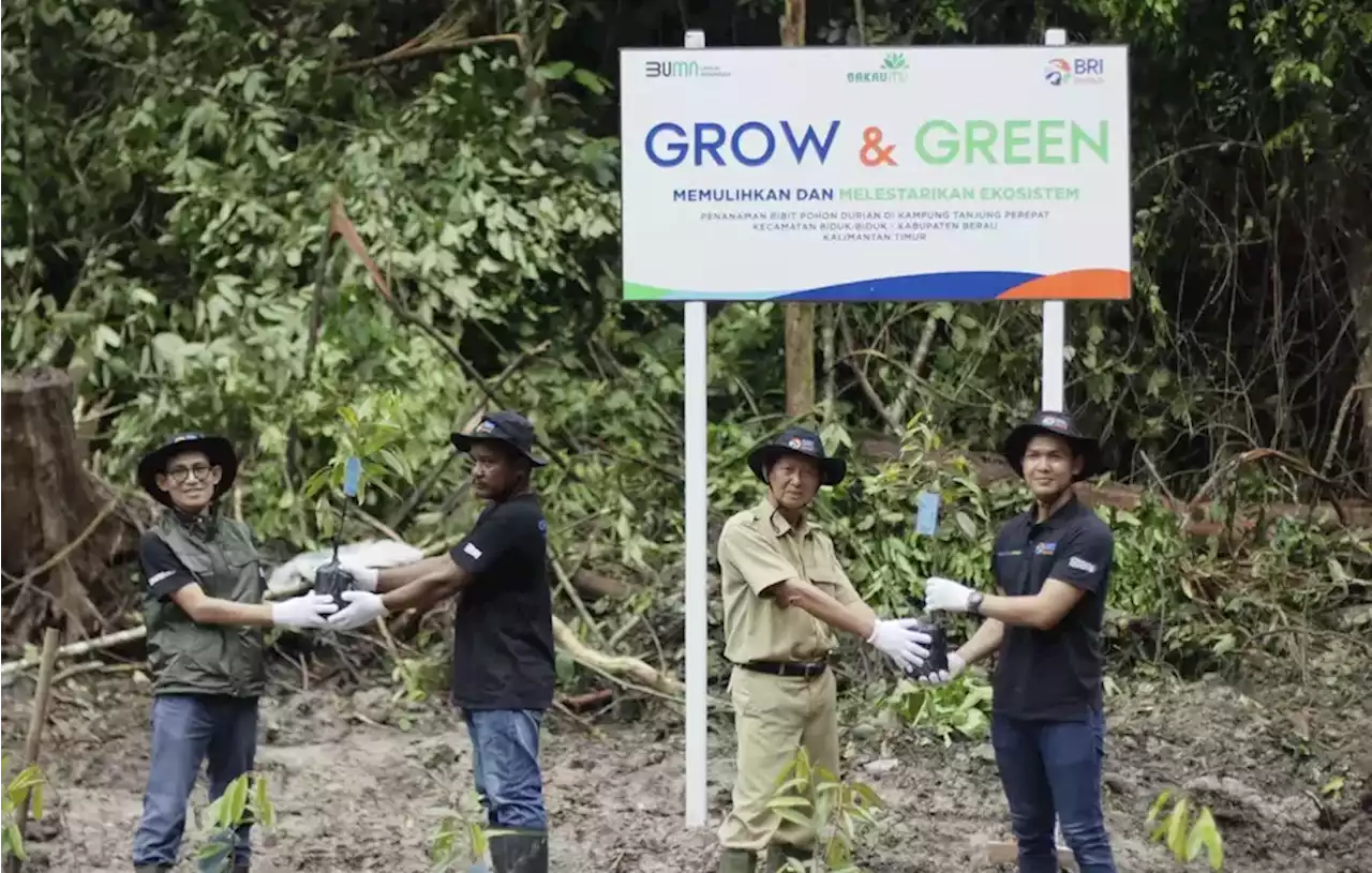 BRI Peduli Grow &amp; Green Salurkan 2.500 Bibit Pohon Durian di Berau