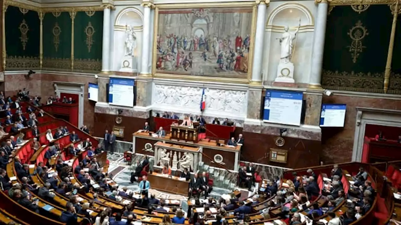 Douanes: l'Assemblée nationale vote la création d'une 'réserve opérationnelle'