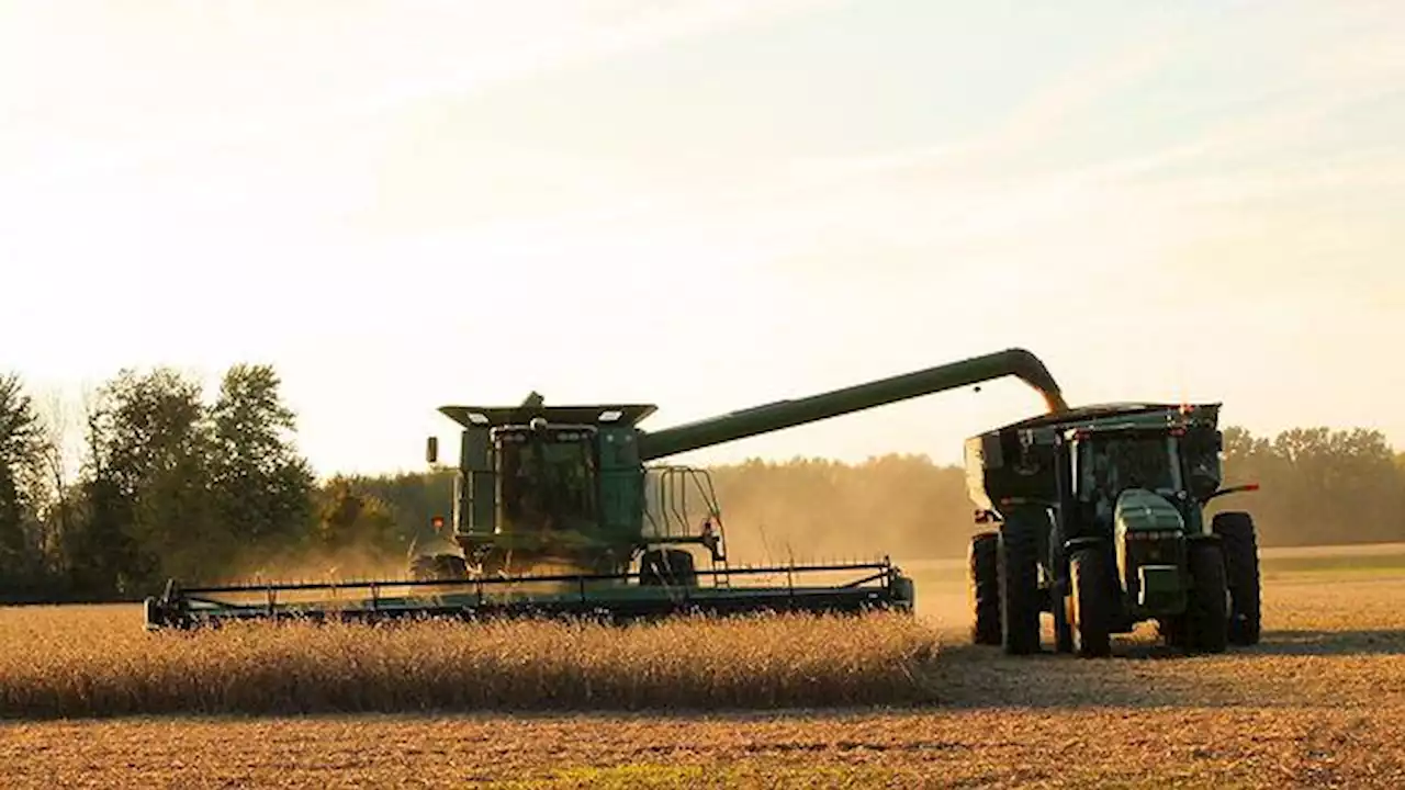 Fenômeno El Niño deixa agronegócio em alerta