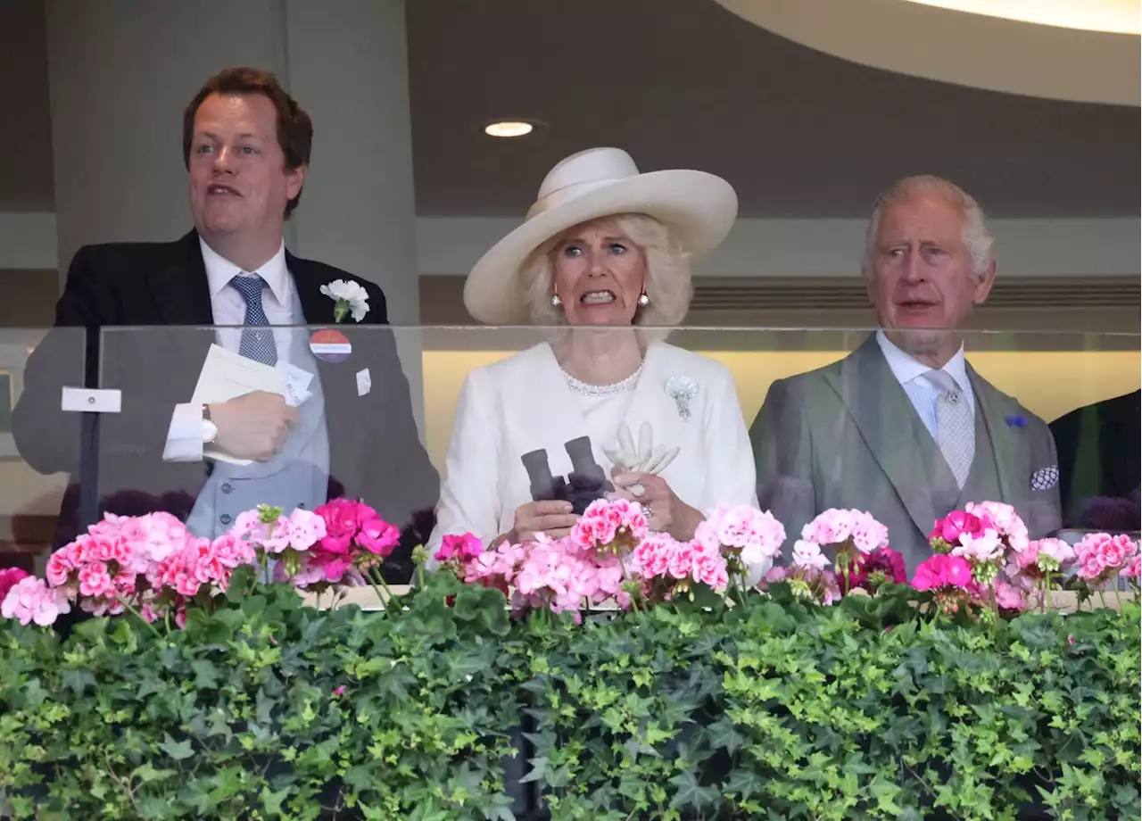 Camilla Parker Bowles : grimaces et tensions… la reine comme vous ne l’avez jamais vue - Closer