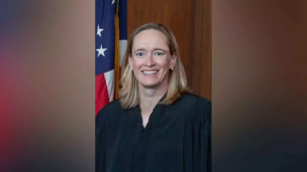 Trump-appointed judge who had Democratic support will oversee Hunter Biden case | CNN Politics