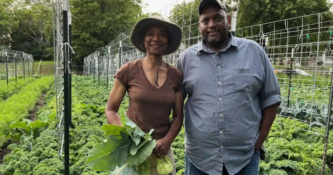 Urban farm launches support program to help nourish a food desert