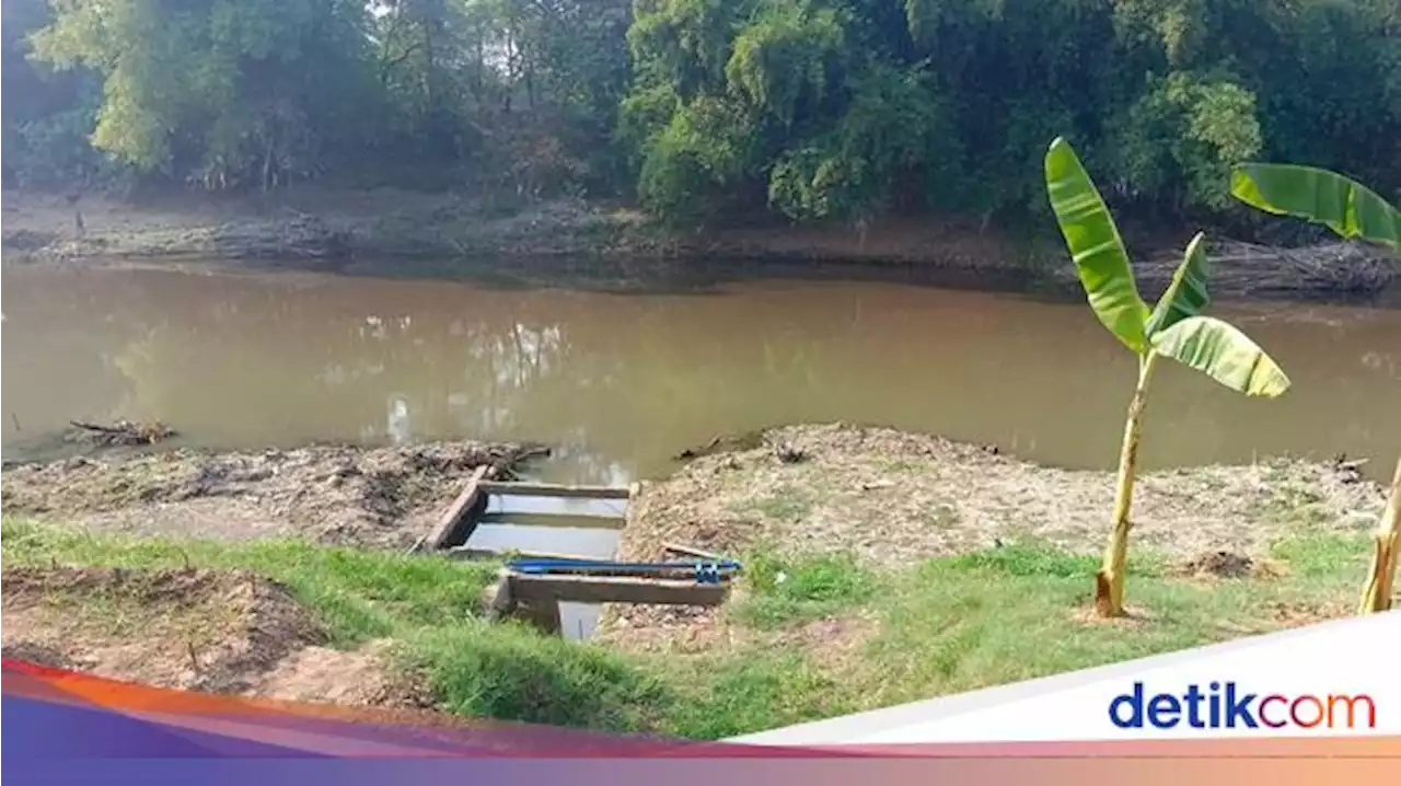 Bengawan Solo Tercemar Limbah Ciu, Gibran Minta Maaf-Janji Tindak Lanjut