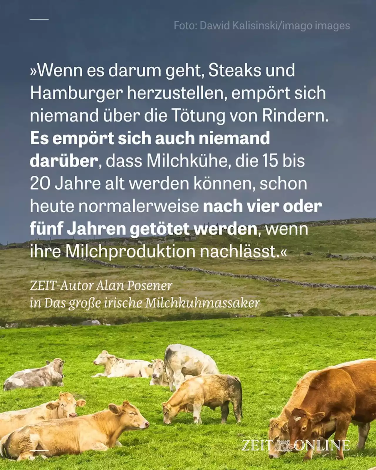 ZEIT ONLINE | Lesen Sie zeit.de mit Werbung oder im PUR-Abo. Sie haben die Wahl.