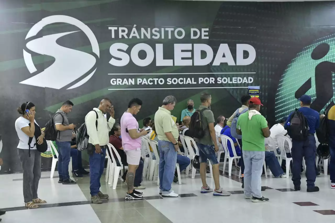 Renovación de licencia de conducción: moderada afluencia en Soledad