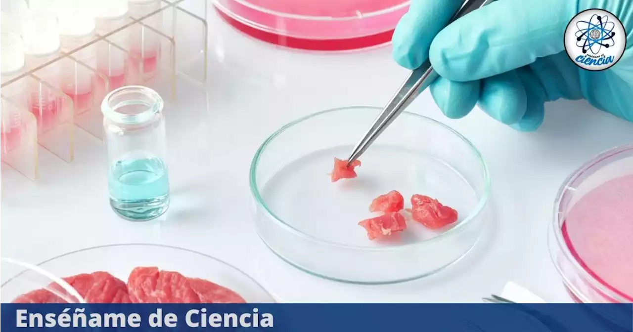 ¿Carne cultivada en laboratorio? Este es el único lugar en el mundo donde puedes comerla