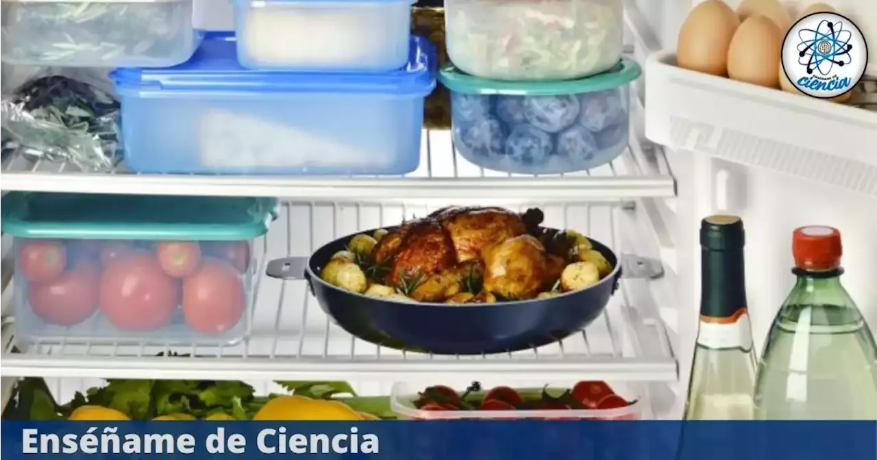 Los 3 Errores Más Comunes Al Almacenar Tus Alimentos En El Refrigerador Que Estropean La Comida