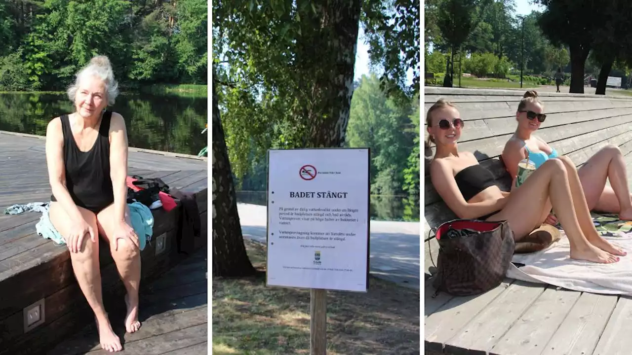 Hög halt av tarmbakterier stänger badet i Boulognern