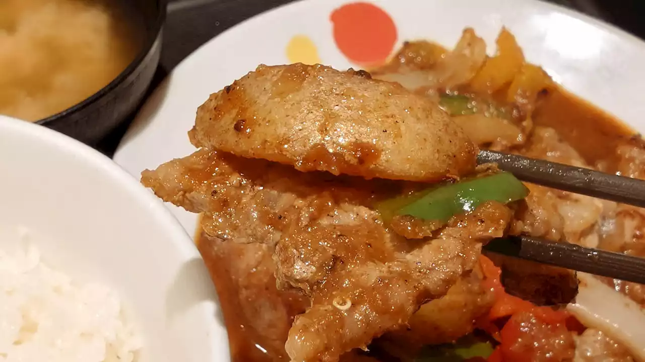 ニンニク×ポン酢×豚肉でごはんが進まないわけがない松屋の「ロモサルタード」を食べてきた