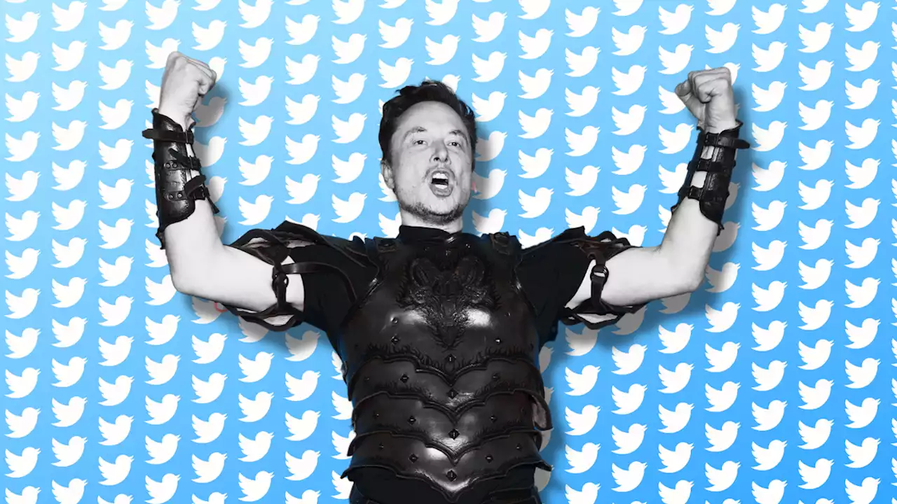 Elon Musk Declares ‘Cisgender’ a Slur on Free Speech Twitter