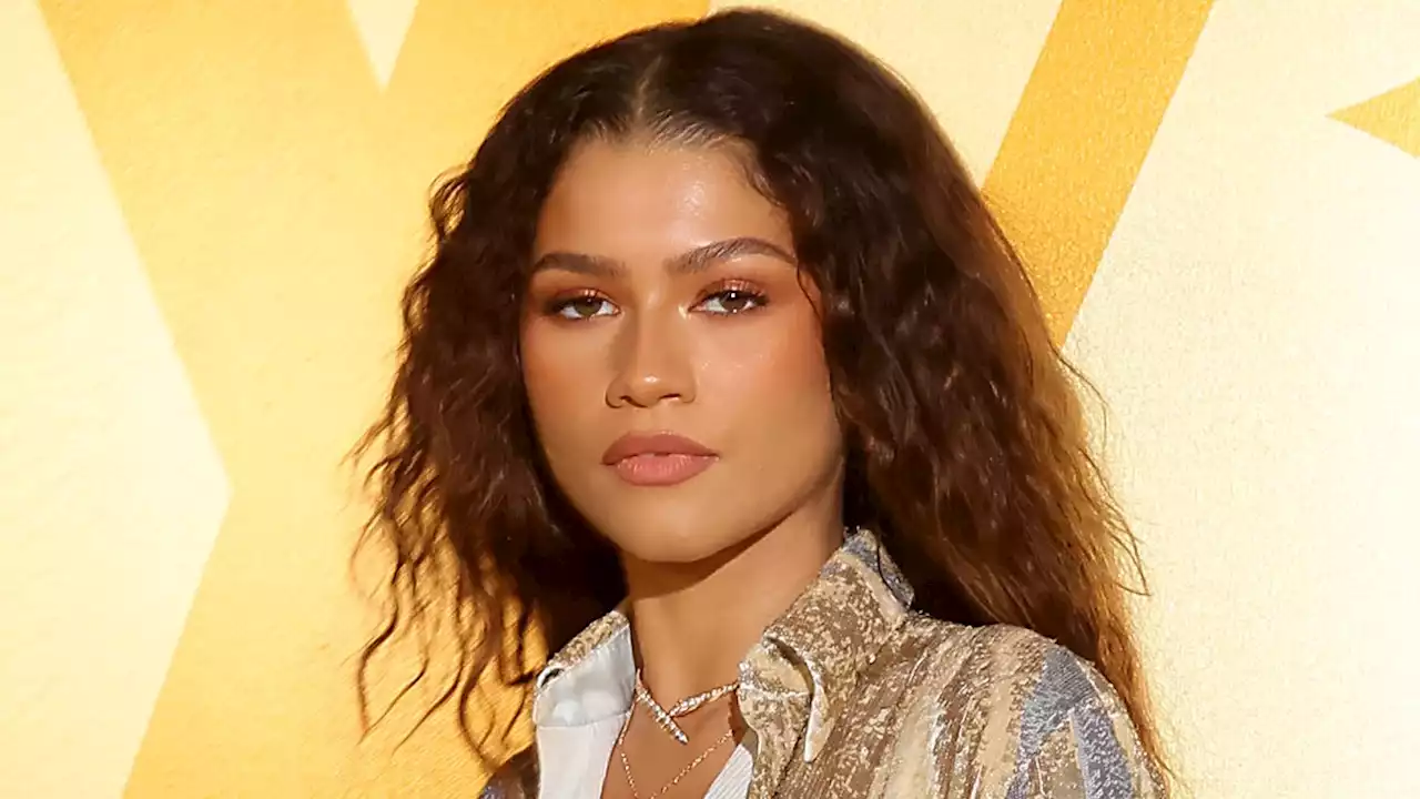 Zendaya Put a Sexy Spin on the Button-Up Shirt