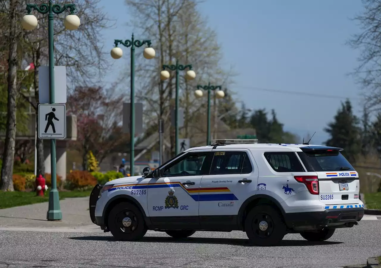 Surrey, B.C., councillor breached conflict rules in police vote, ethics report finds