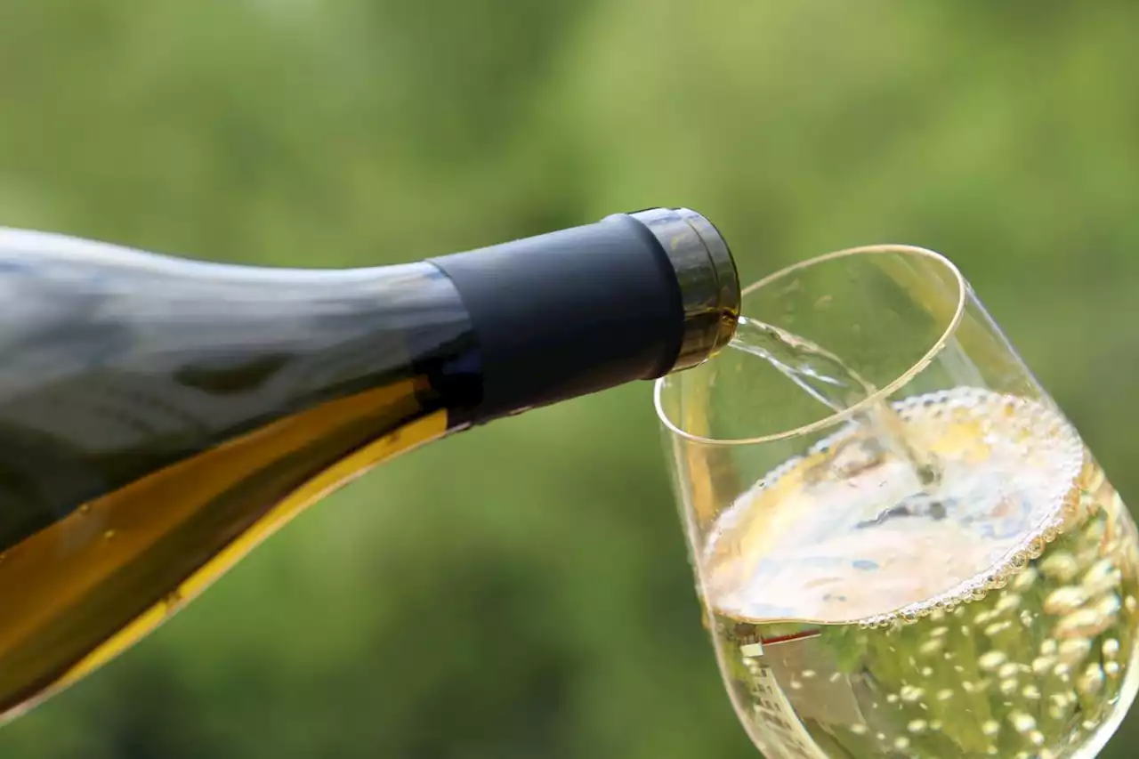 Ten (mostly white) wines from around the world to toast summer’s start