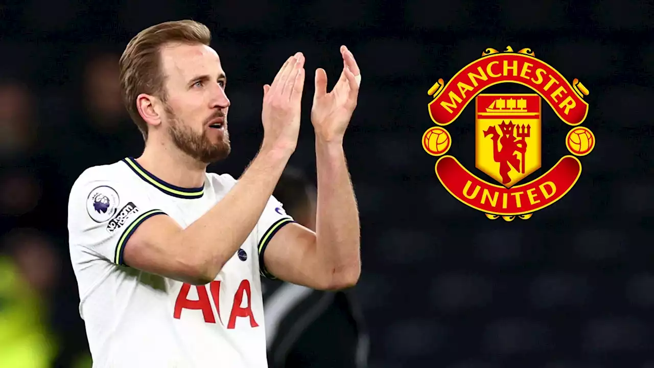 Harry Kane Belum Menyerah Mau Transfer Ke Manchester United, Tapi... | Goal.com Indonesia