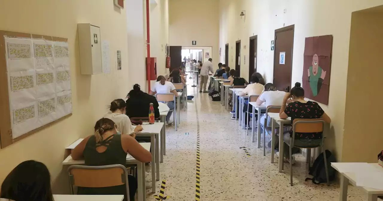 I veri immaturi di Abbiategrasso