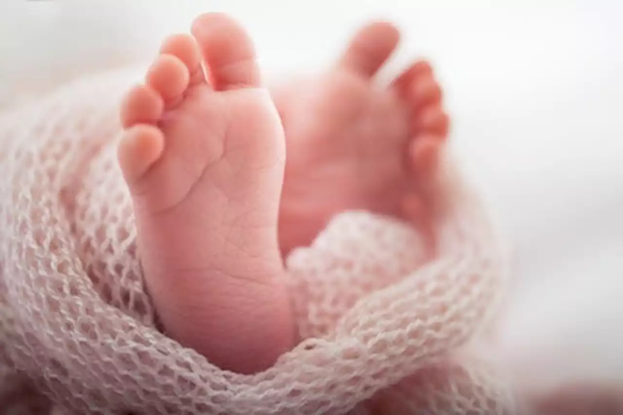 Infant mortality rises when sovereign debt defaults drag on, study says