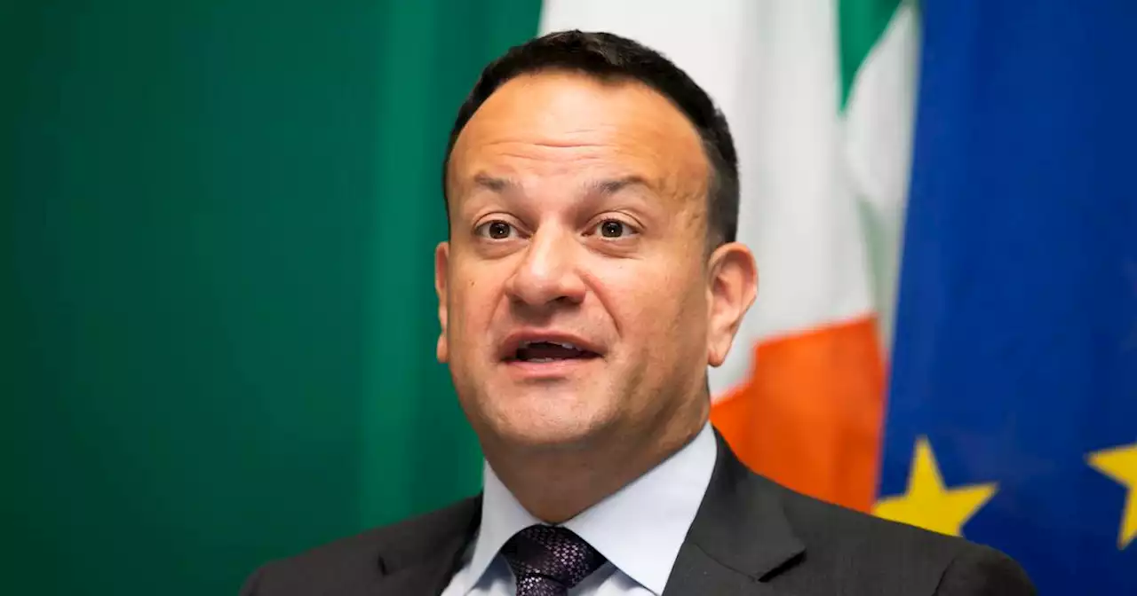 Ethics watchdog member feared ‘credibility’ issues over rejection of Varadkar leak complaint