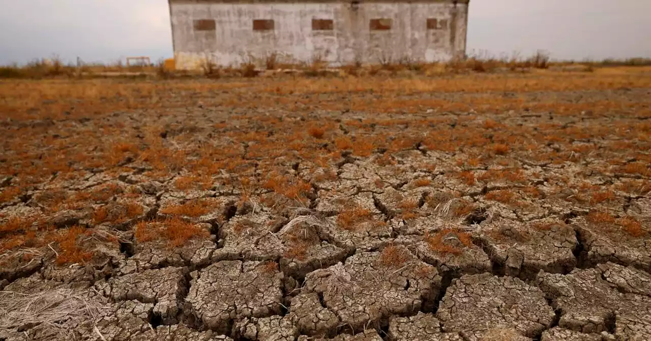 Europe is not a ‘safe haven’ from climate breakdown, expert warns