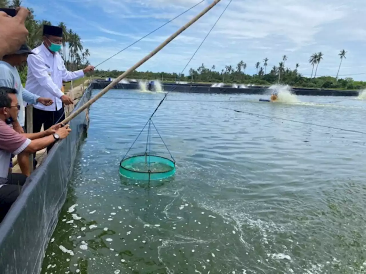 Bupati Sukamara Minta Pengusaha Udang Vaname Jaga Lingkungan