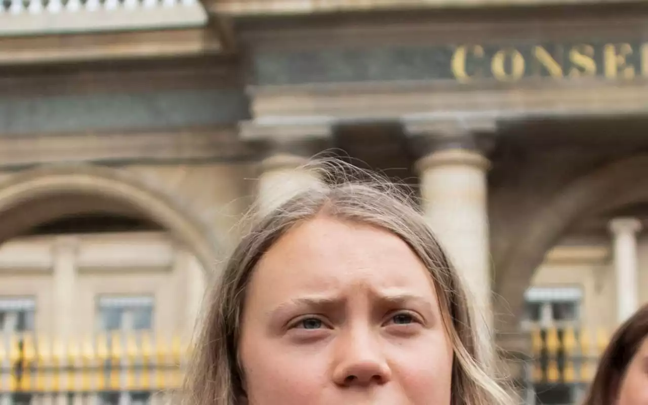 Greta Thunberg tece críticas à dissolução de grupo ecologista radical na França | Mundo e Ciência | O Dia