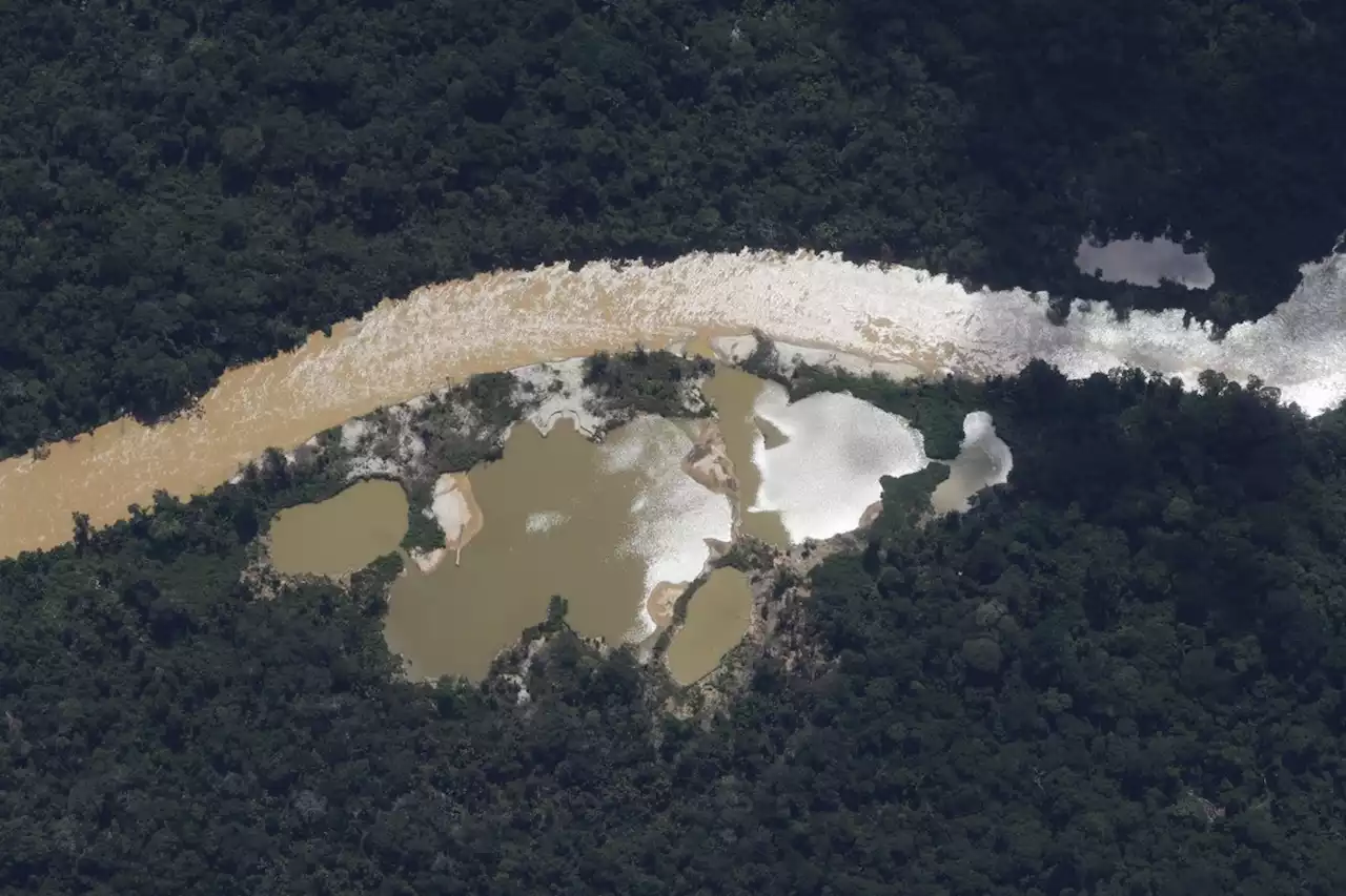 PF diz que zerou alertas de garimpo ilegal na terra Ianomâmi pela primeira vez em 3 anos, quando começou monitoramento