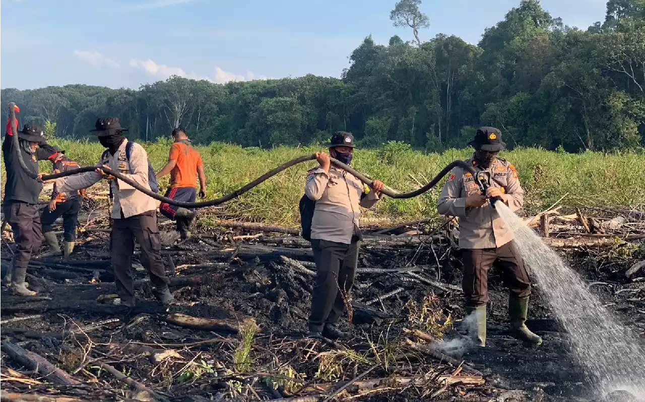 Beginilah Situasi Terkini Karhutla di Cagar Biosfer Giam Siak Kecil