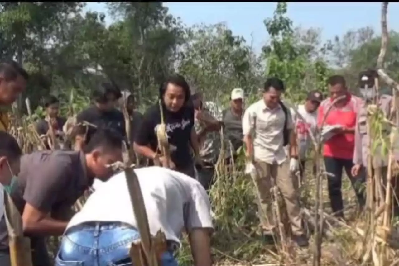 Ini Ciri-ciri Mayat Wanita yang Ditemukan di Lahan Perhutani Ngawi