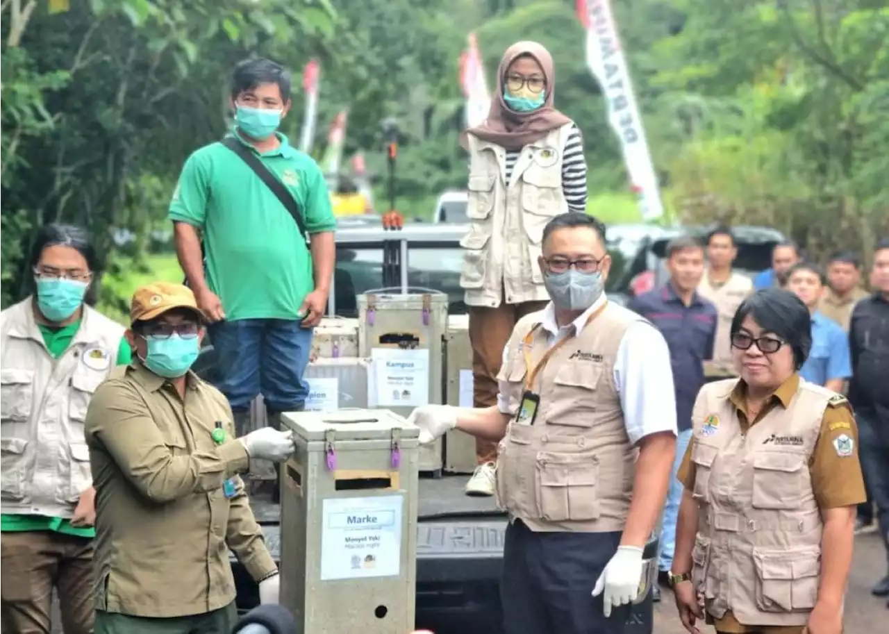 PGE Realisasikan Konsep ESG lewat Pelestarian Monyet Hitam Sulawesi