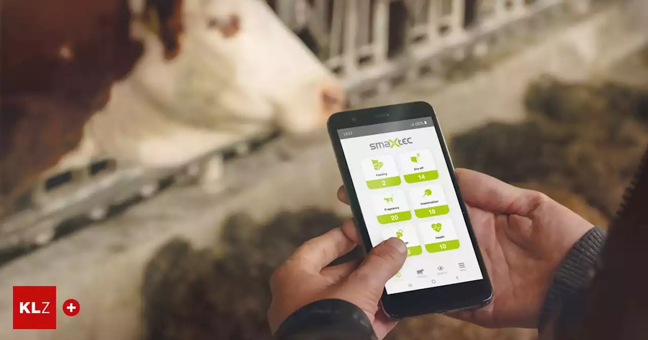 Sensor im Kuhmagen: Sein Smartphone sagt ihm, ob seine Kühe fruchtbar sind