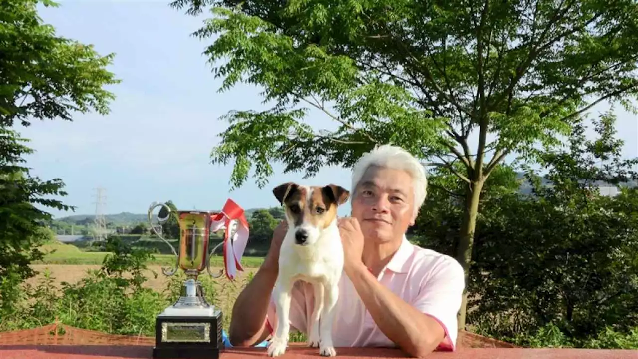 〝還暦〟愛犬と復活のV 熊本市の川口さんとジェイク フリスビードッグ小型犬の部日本一｜熊本日日新聞社
