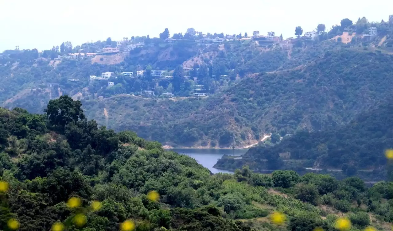 LA’s Wildlife Ordinance edges closer to approval, despite homeowner opposition