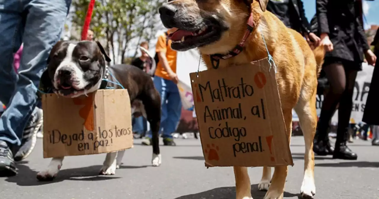 Carnicero atacó con machete a un perro porque le robó un pedazo de carne del local