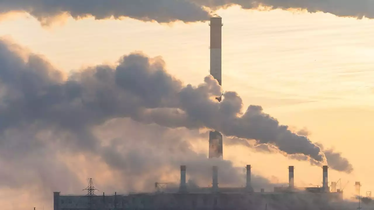 « Le Royaume-Uni peut reproduire avec la captation du CO2 son succès dans l'éolien »