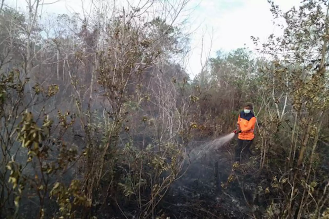 Antisipasi Potensi Karhutla, TMC Dilanjutkan di Kalimantan