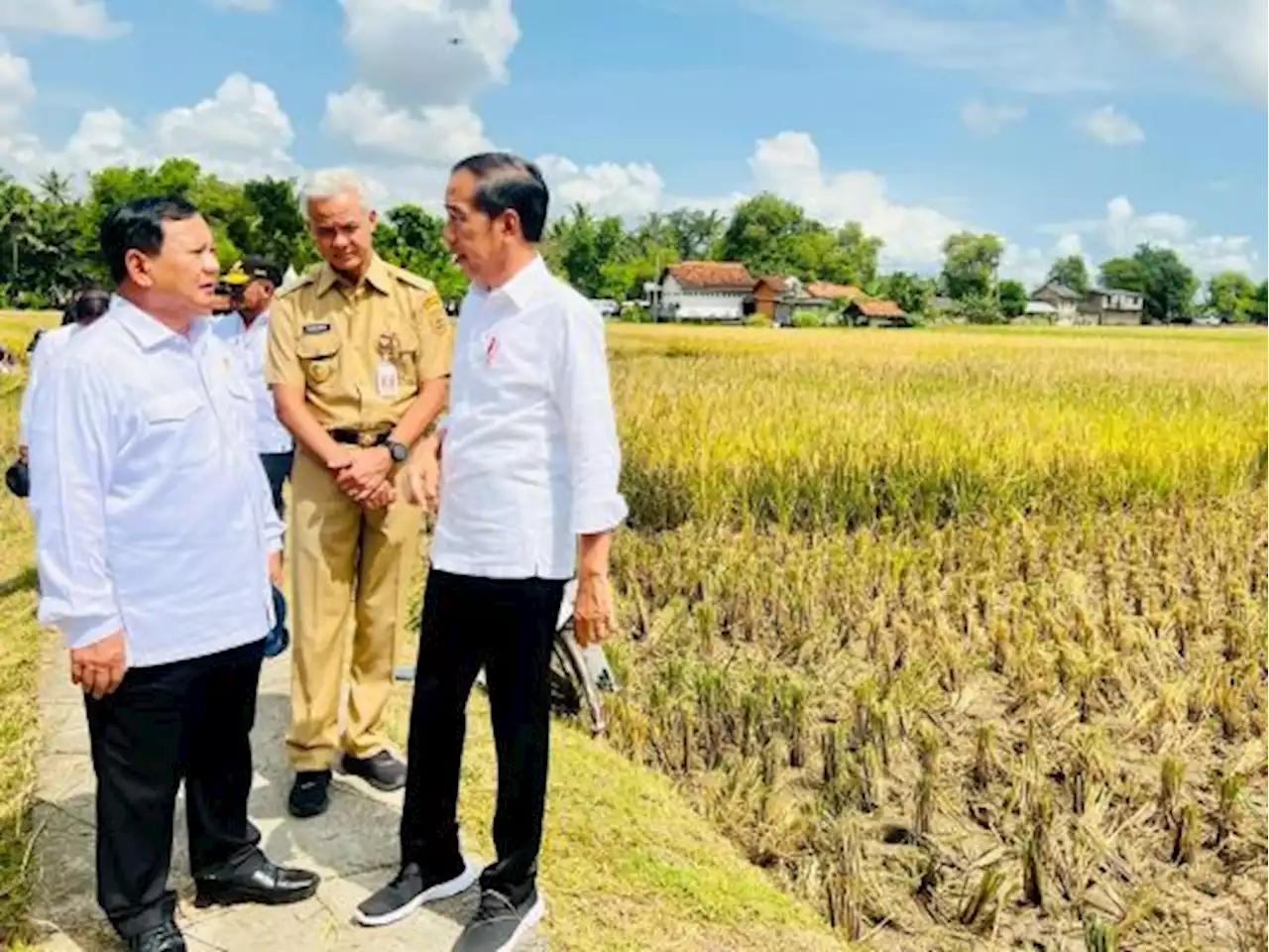 Ratusan Simpatisan Jokowi Beralih Dukung Prabowo