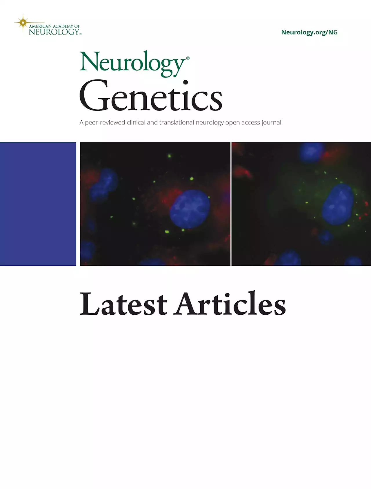 Cumulative Genetic Score and C9orf72 Repeat Status Independently Contribute to Amyotrophic Lateral Sclerosis Risk in 2 Case-Control Studies