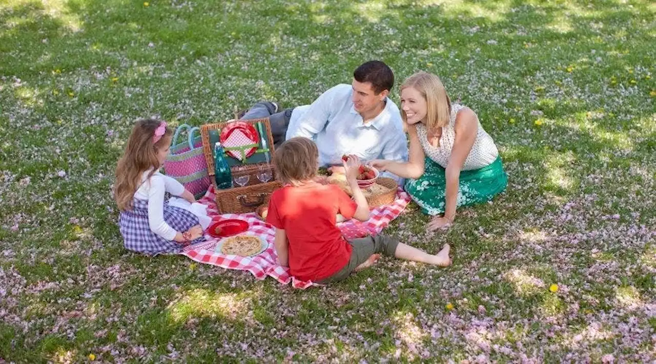 The best picnic blankets for families