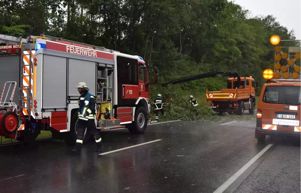 FFW Rötz im Einsatz wegen umgestürztem Baum: Fahrbahn auf Staatsstraße blockiert