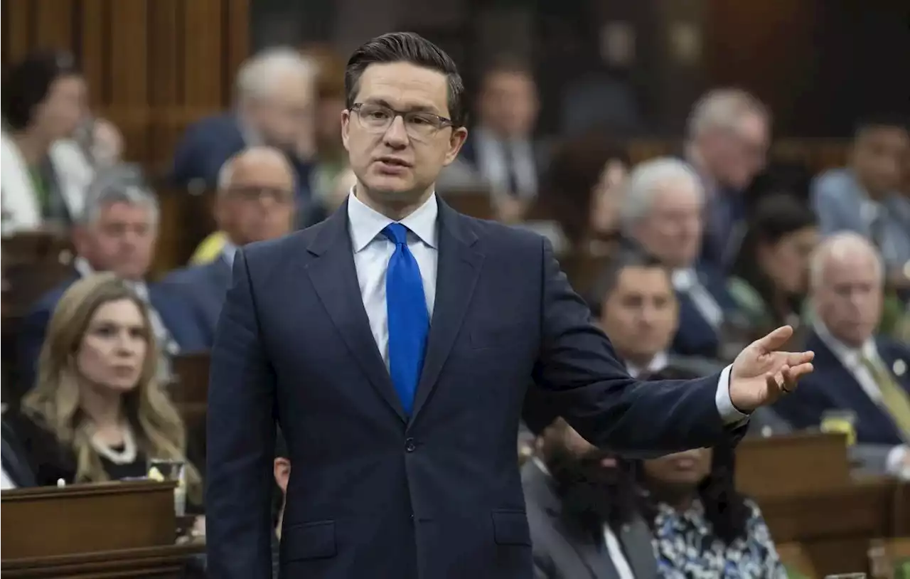 Opinion | Is Pierre Poilievre’s divisive approach coming up short with voters?