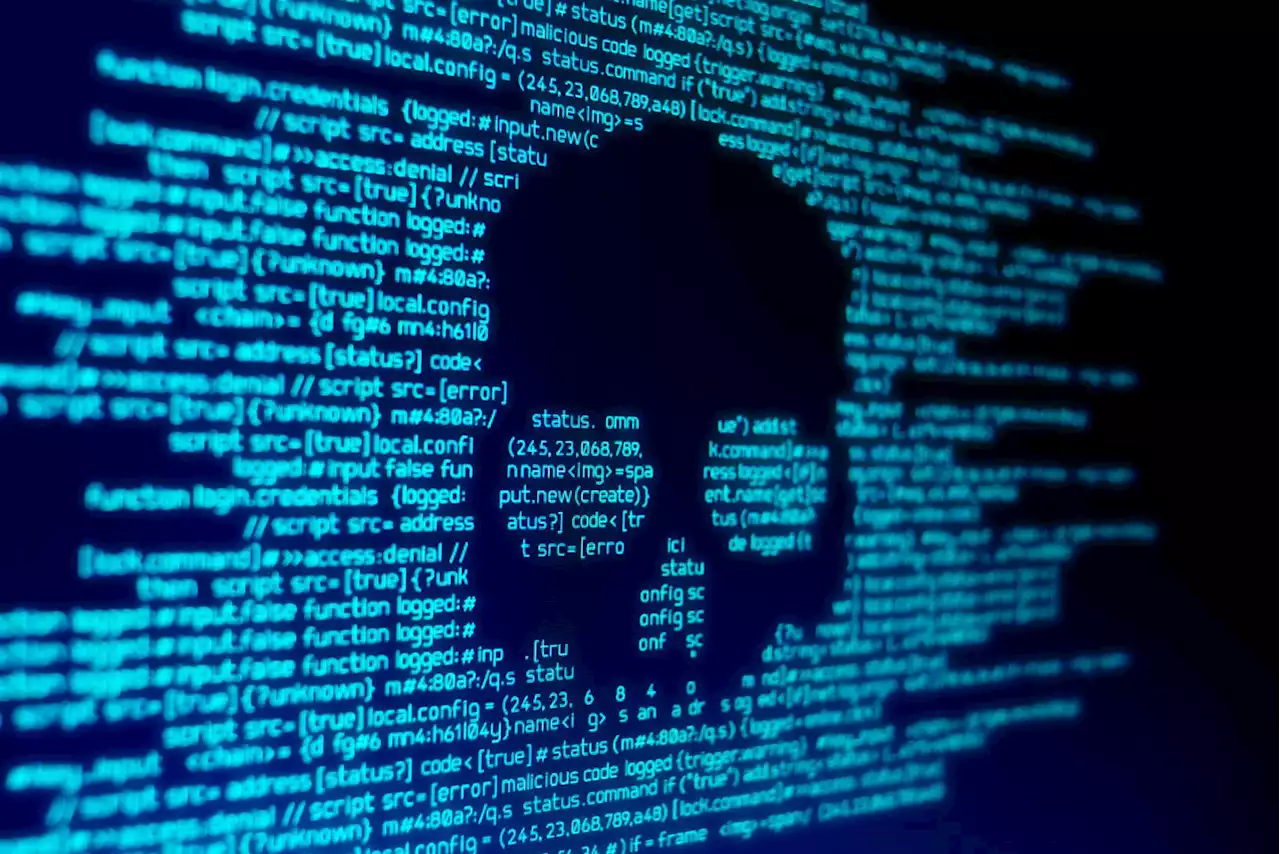 South Africa on the verge of becoming 'cybercrime capital of Africa’ | News24