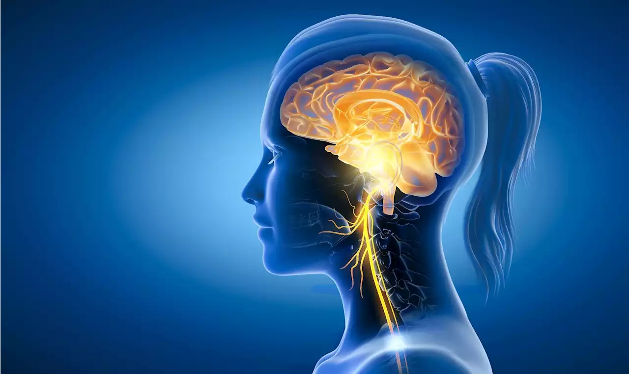 Vagus nerve dysfunction has a central pathogenic role in the pathophysiology of the post-COVID condition