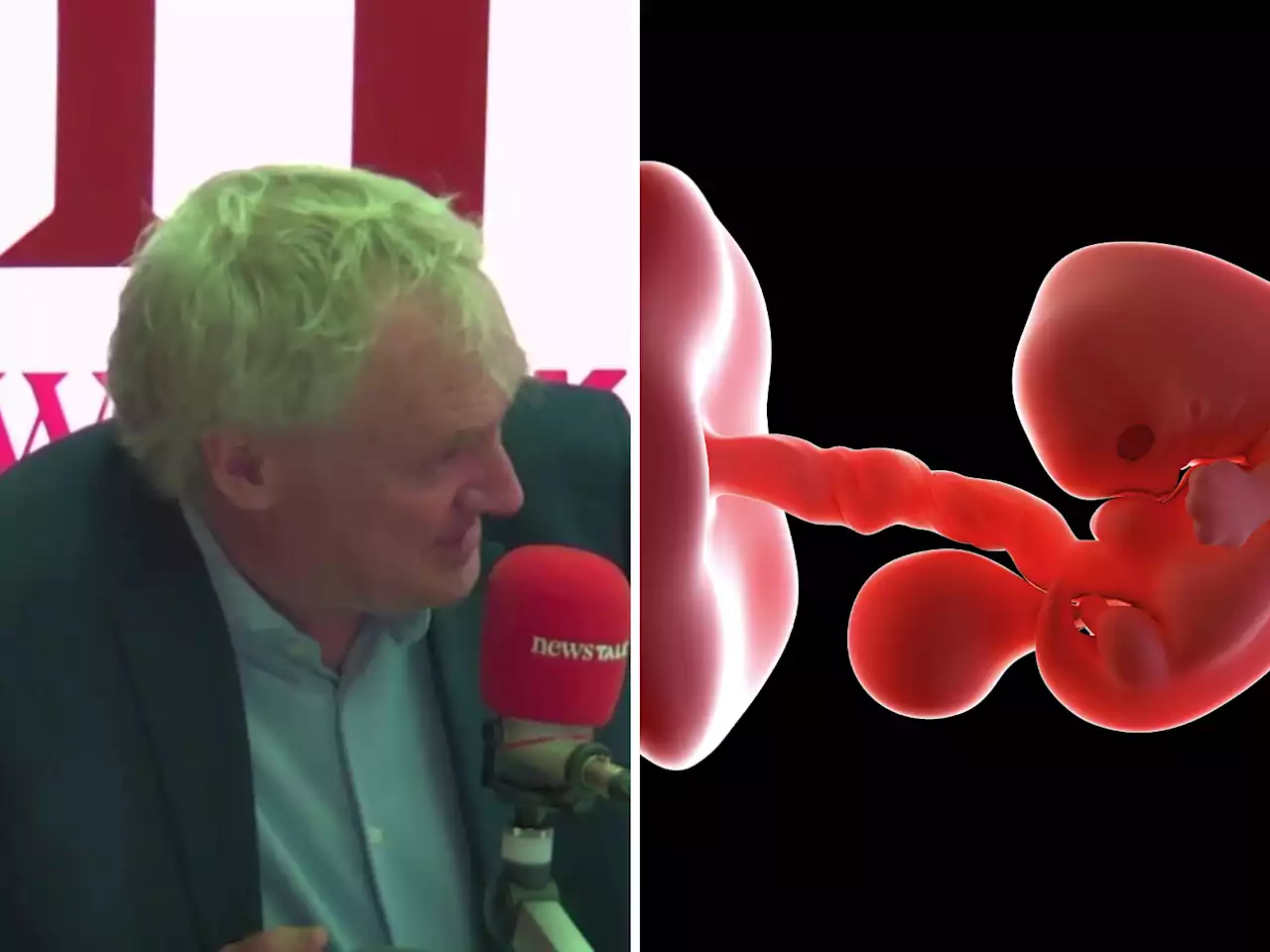 Luke O'Neill: Embryo now can be made without sperm or egg